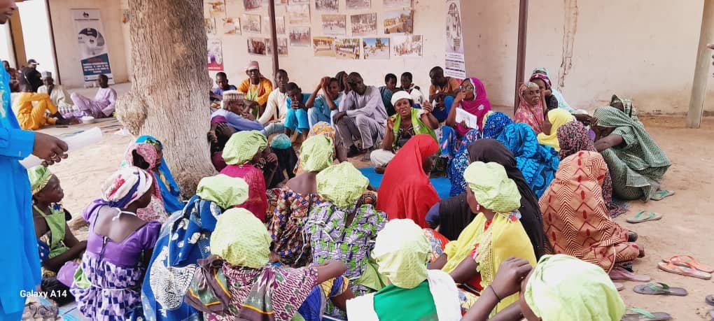 Projet Activités génératrices de revenus pour l’autonomisation des femmes et des jeunes (Petté Centre, Mallam, Fadaré)